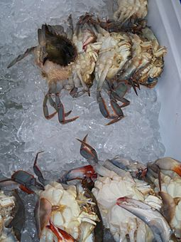 soft_shell_crab_90908098.png