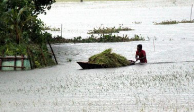 အာရှဆန် တစ်ပတ်တာ အခြေအနေ (ဇွန် ၁၀-၁၆)