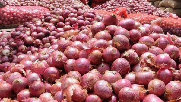 တရုတ်ကြက်သွန်နီ ၃ မျိုး တင်သွင်းနေသော်လည်း မြန်မာကြက်သွန်နီ ဈေးမကျဘဲ အဝယ်လိုက်နေ