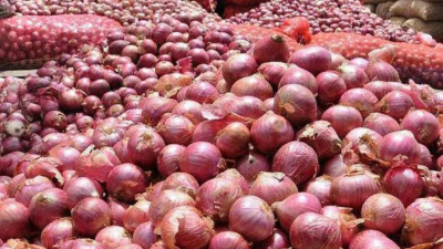တရုတ်ကြက်သွန်နီ ၃ မျိုး တင်သွင်းနေသော်လည်း မြန်မာကြက်သွန်နီ ဈေးမကျဘဲ အဝယ်လိုက်နေ