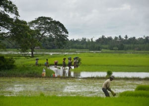 လယ်ယာကဏ္ဍအပြင် ကဏ္ဍနှစ်ခုတွင် အမေရိကန်ဒေါ်လာ သန်း ၂၀၀ ကျော် ရင်းနှီးမြှုပ်နှံမည့် လုပ်ငန်းများ ခွင့်ပြု