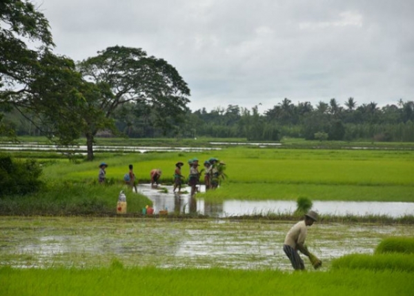 လယ်ယာကဏ္ဍအပြင် ကဏ္ဍနှစ်ခုတွင် အမေရိကန်ဒေါ်လာ သန်း ၂၀၀ ကျော် ရင်းနှီးမြှုပ်နှံမည့် လုပ်ငန်းများ ခွင့်ပြု