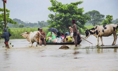 မိုးသည်းထန်လျက် ရေကြီးမှုများကြောင့် သီးနှံစိုက်ဧရိယာ ဟက်တာ ၂၁ သိန်းကျော် ထိခိုက် ပျက်စီး