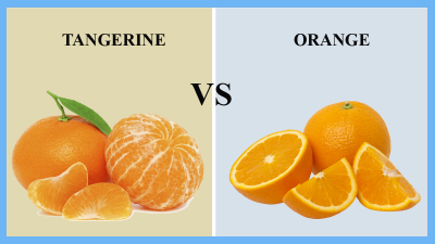 လိမ္မော်သီး (Tangerine)နှင့် ကဗ္ဗလာသီး (Orange) တို့ရဲ့ ခြားနားချက်များ