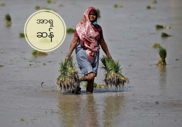 ပေါင်းဆန် ပို့ကုန်ခွန် ပြဋ္ဌာန်းချက် အိန္ဒိယ သက်တမ်းတိုး