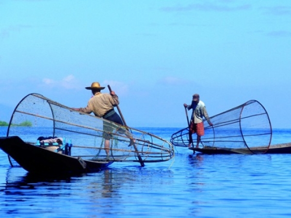 ငါးများကို တစ်ဆင့်ရောင်းချသူ မရှိသဖြင့် ငါးဖမ်းခြင်း လုပ်ငန်းရပ်နား