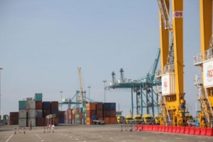 သၾကားႏွင့္ စက္သံုးဆီ Re-Export လိုင္စင္ခြင့္ျပဳမႈကို စတင္ရပ္ဆိုင္း