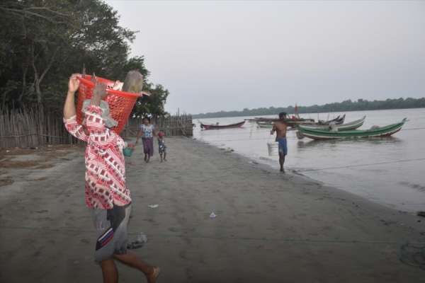 အအေးဓာတ်ပြန်လည်ဝင်ရောက်မှုကြောင့် ငါးသလောက် အထိအမိများ