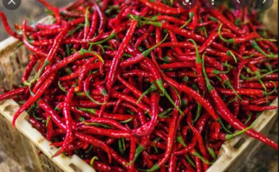 မန္တလေးစျေးကွက်အတွင်း ငရုတ်သီးအစိုတစ်ပိဿာ ငွေကျပ် ၅၀၀၀ ထိပေါက်စျေးရရှိ