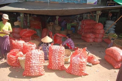 မန္တလေးဈေးကွက်အတွင်းသို့ နယ်ပယ်ပေါင်းစုံမှ ကြက်သွန်နီအသစ်များ လှိုင်လှိုင်ဝင်ရောက်လာ