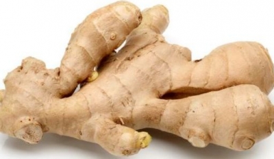Ginger