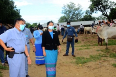 နေပြည်တော်တွင် အဆင့်မြင့် နွားပွဲဈေးအသစ် တည်ဆောက်မည်
