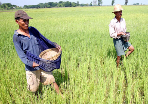 မြေဩဇာတင်သွင်းသူများ သိရှိနိုင်ပါရန် ကြေညာချက်ထုတ်ပြန်