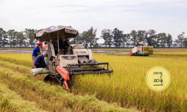 မြန်မာနှင့် ပါကစ္စတန်အပါအဝင် ဆန်တင်ပို့သည့် နိုင်ငံများမှ ဆန်တန်ချိန် ၅၃၄,၀၀၀ ဝယ်ယူမှု အင်ဒိုနီးရှား စတင်
