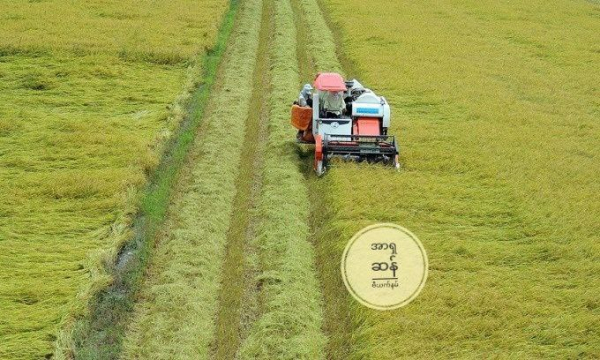ဗီယက်နမ်ဆန် ပြည်ပတင်ပို့မှု ဝင်ငွေ စံချိန်သစ်တင်