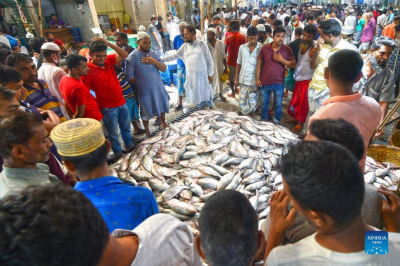 ဘင်္ဂလားဒေ့ရှ် ငါးသလောက် ရာသီနဲ့ ပေါက်ဈေး