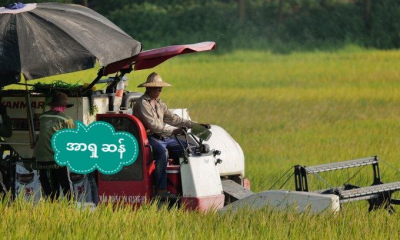 ဗီယက်နမ်ပို့ကုန်ဆန် ဈေးနှုန်း ကမ္ဘာ့အမြင့်ဆုံးမှာ ဆက်ရှိနေ