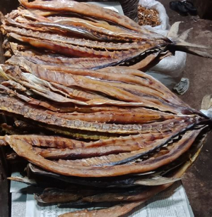 မြစ်ဝကျွန်းပေါ်ဒေသမှထွက်သော ရေထွက်ကုန်ပစ္စည်းများကို စျေးကွက်များသို့ တင်ပို့ရောင်းချမည်