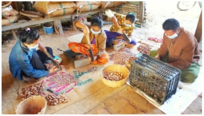 တစ်ပိုင်တစ်နိုင် ကွမ်းသီးစိတ်လုပ်ငန်း လုပ်ကိုင်ခြင်းဖြင့် အပိုဝင်ငွေရရှိ