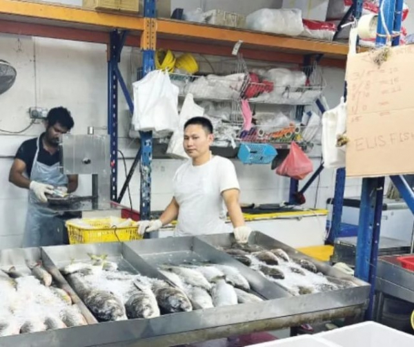 စင်ကာပူမှာ ဘင်္ဂလားဒေ့ရှ်ထက် မြန်မာ ငါးသလောက် ဈေးသက်သာ