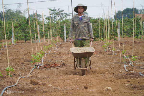 ကော်ဖီထက် ပင်မှည့်က တွက်ခြေပိုကိုက်