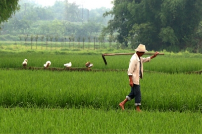 မြန်မာနိုင်ငံအလယ်ပိုင်း အပူပိုင်းဇုန်ဒေသ စိုက်ပျိုးရေးအတွက် ရေစုဆောင်းနည်းနှင့် ရေချွေတာသုံးစွဲနည်းလမ်းများ