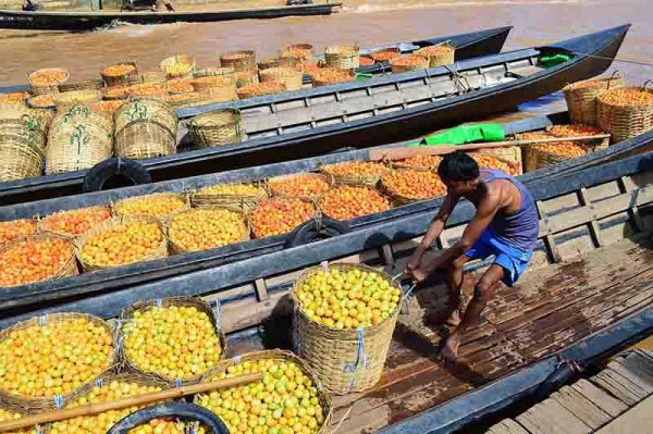 စိုက်ပျိုးရေးထုတ်ကုန် မန္တလေးဈေးကွက် အခြေအနေ