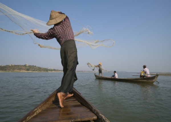 ငါးဖမ်းလုပ်ငန်းလုပ်ကိုင်သူများ အခက်အခဲတွေ့ကြုံ