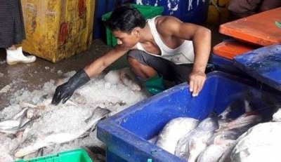 ငါးစားသံုးမႈ မ်ားျပားလာျခင္းေၾကာင့္ ေမြးျမဴေရးအဆင့္ျမွင့္တင္