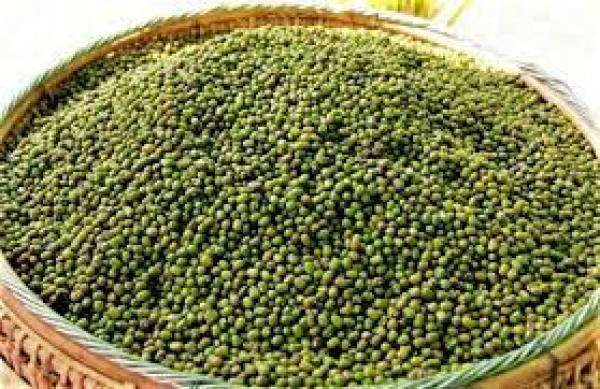မန္တလေးဈေးကွက် ပဲတီစိမ်း မတ်ပဲ ဈေးမြင့်