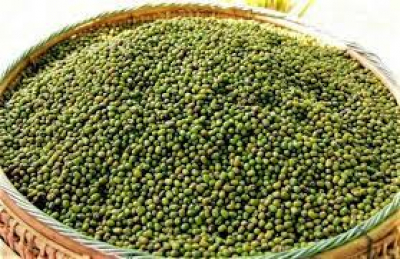 မန္တလေးဈေးကွက် ပဲတီစိမ်း မတ်ပဲ ဈေးမြင့်