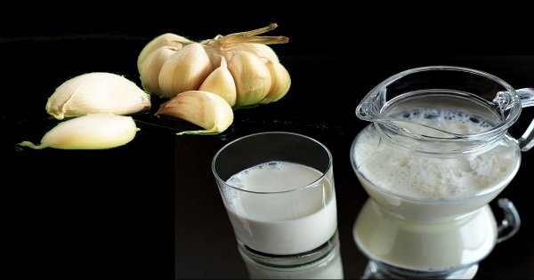 ၾကက္သြန္ျဖဴႏြားႏို႔ ျပဳလုပ္နည္း