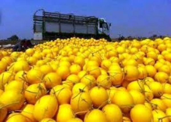 တရုတ်နိုင်ငံသို့ သခွားမွှေးများသာ တင်ပို့