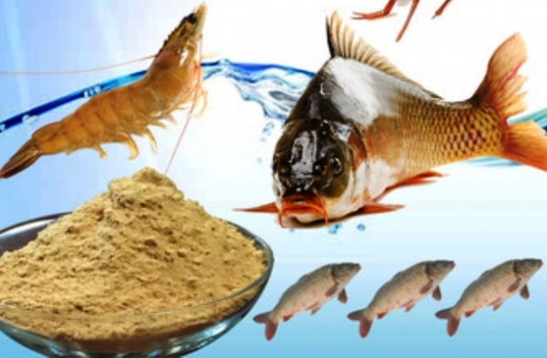 ငါးပုစြန္အစာေစ်းႏႈန္းမ်ားတည္ၿငိမ္ေရး Buyer Group ဖြဲ႕စည္းရန္လိုအပ္