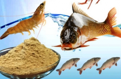 ငါးပုစြန္အစာေစ်းႏႈန္းမ်ားတည္ၿငိမ္ေရး Buyer Group ဖြဲ႕စည္းရန္လိုအပ္