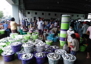 ကိုဗစ်ကာလအတွင်း နယ်လှည့်ရောင်းချနေသည့် Mobile team ငါးရောင်း ဈေးသည်များ အခက်ကြုံနေရ