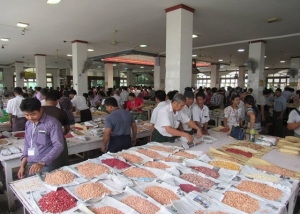 အိန္ဒိယပဲလိုအပ်ချက်မြင့်မားမှုက မြန်မာ့ပဲဈေးကွက်အတက်အတွက်လား &hellip;.
