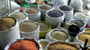 ၂၀၂၂-၂၃ ဘဏ္ဍာနှစ်အတွင်း ပြည်ပသို့ ပဲမျိုးစုံတင်ပို့မှုမှ အမေရိကန်ဒေါ်လာ သန်း ၈၀၀ ကျော်ရရှိ