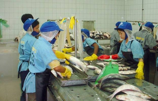 ငါး၊ ပုစြန္ အေအးခန္းစက္ရံုမ်ားကို ေဆာ္ဒီစစ္ေဆးေရးအဖြဲ႔ လာေရာက္စစ္ေဆးမည္