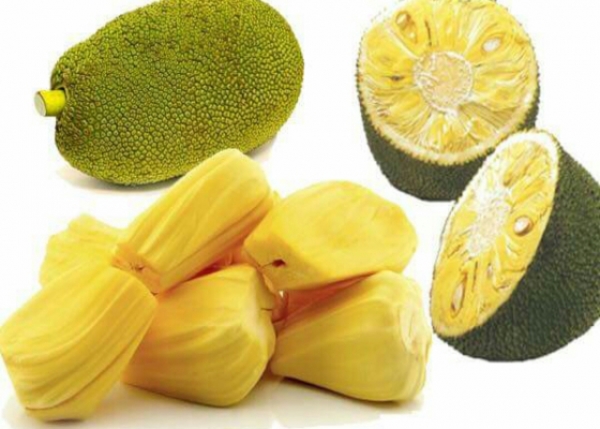 ပိႏၷဲသီးစားျခင္း၏ အက်ဳိးေက်းဇူးမ်ား