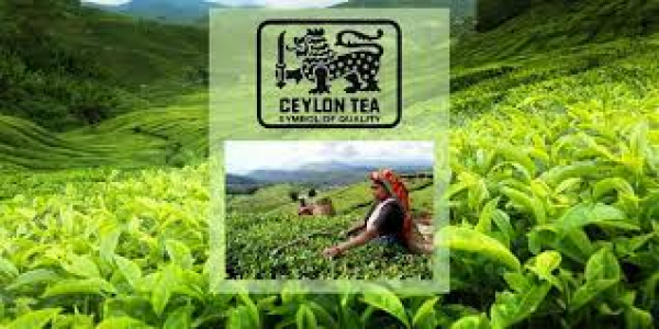 သီရိလင်္ကာက ရေနံဖိုးအကြွေးကို လက်ဖက်ဖြင့် ဆပ်မည်