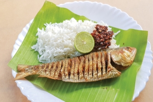 ငါးသေလာက္အ႐ိုးေပ်ာက္ေၾကာ္