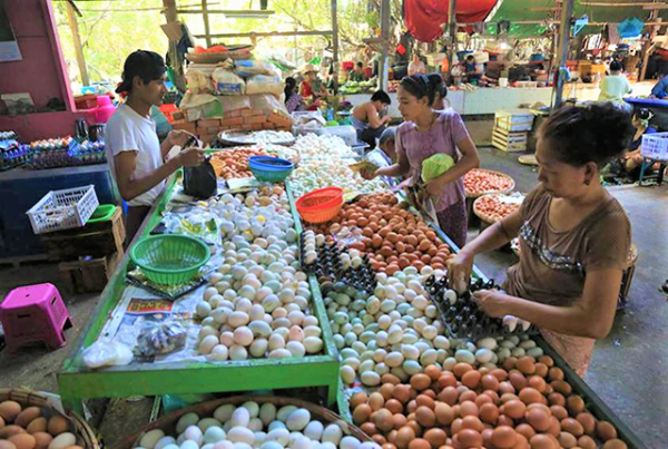 ကြက်ဥဈေးနှုန်း အနည်းငယ်မြှင့်တက်